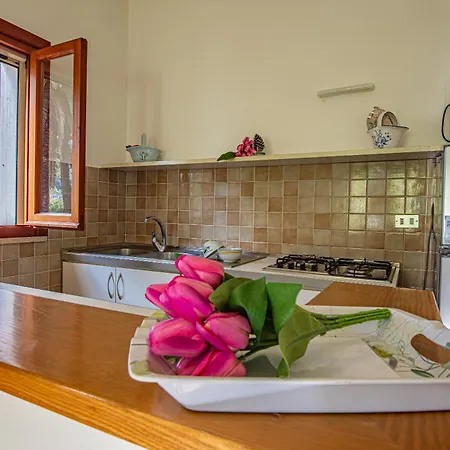 Appartement Vanna Bilo A - Bilocale